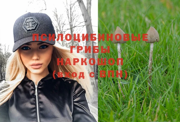 spice Новозыбков