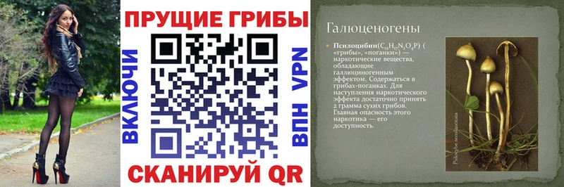 как найти закладки  Юрьевец  Псилоцибиновые грибы прущие грибы 